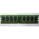 Модуль оперативной памяти 4096Mb DDR2 Patriot PSD24G8002 pc-6400 (800MHz)  (Первоуральск)