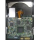 Электроника жёсткого диска 146Gb HP 481653-002 DF146BAFDU (Первоуральск)