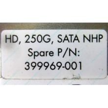 HP 250G 7.2k 432337-001/ 399699-001 / 397377-004 SATA HDD (Первоуральск)
