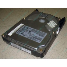 Жесткий диск 18.4Gb Quantum Atlas 10K III U160 SCSI (Первоуральск)
