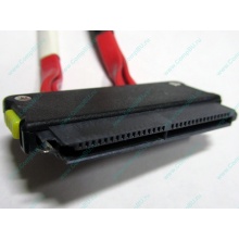 SATA-кабель для корзины HDD HP 451782-001 459190-001 для HP ML310 G5 (Первоуральск)
