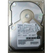 Жесткий диск 18.2Gb IBM Ultrastar DDYS-T18350 Ultra3 SCSI (Первоуральск)