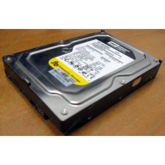 Жесткий диск 160Gb WD WD1602ABKS SATA (Первоуральск)