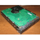 Жесткий диск 300Gb 15k Seagate Cheetach ST3300656SS 15K.6 Dell 9CH066-050 6G SAS (Первоуральск)